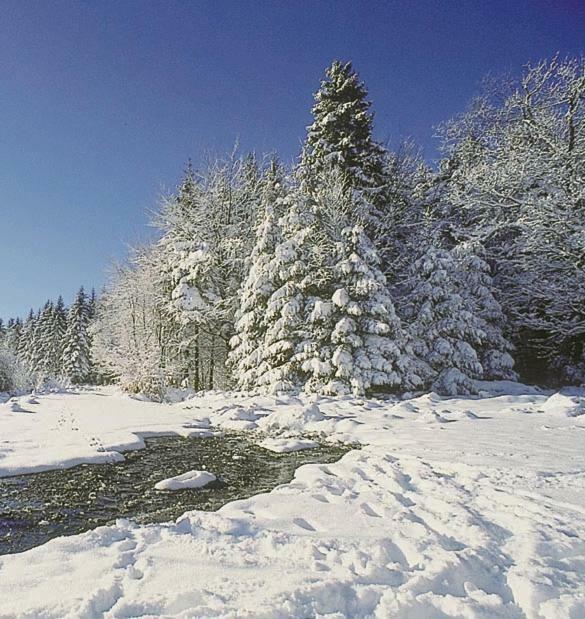 Vakantiepark Wilhelm Tell Vakantieappartement Opglabbeek Zewnętrze zdjęcie